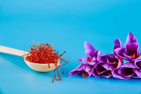 تصویر 5 از خرید زعفران اصل قائنات + قیمت فروش استثنایی